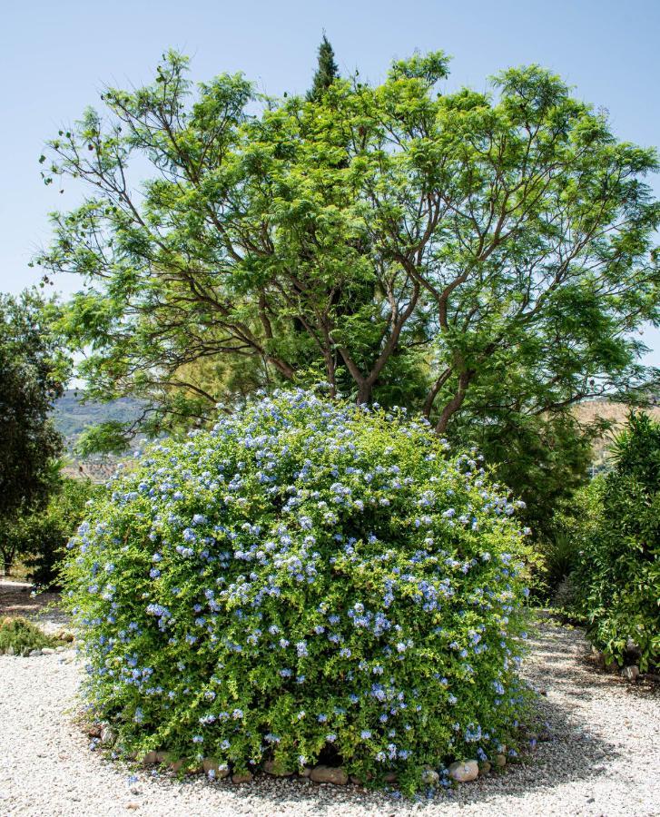 Finca El Limonar Alora Exterior foto